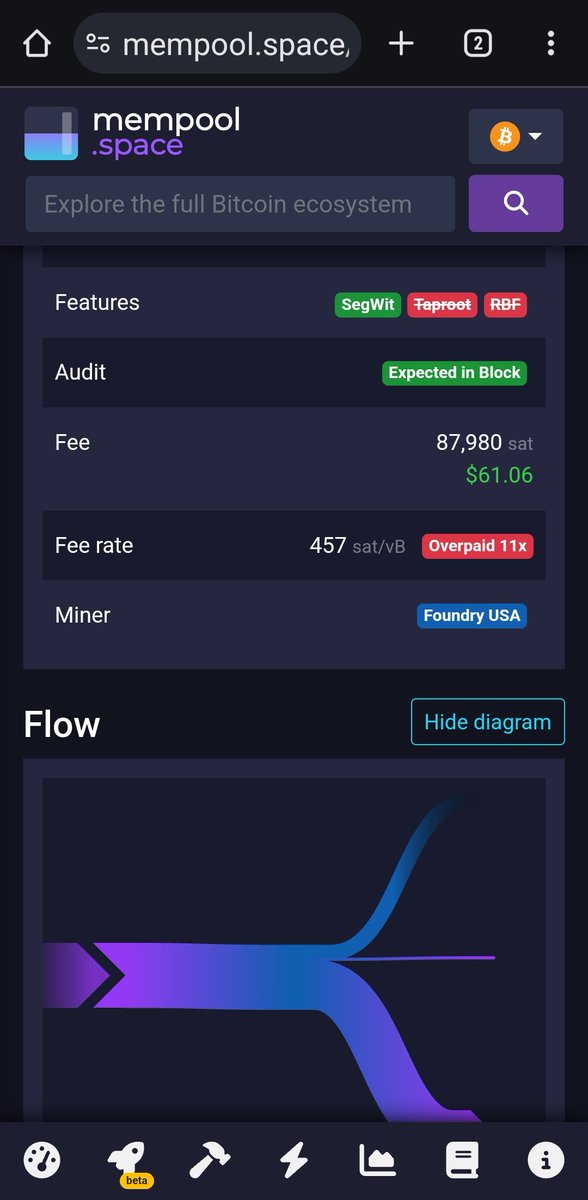 francis105d1 tweet media