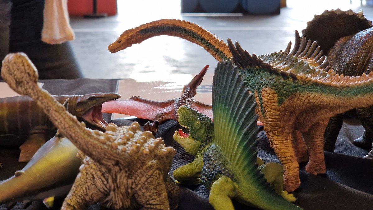 John (Paléo-J) ⛏️🐾🌍 tweet media