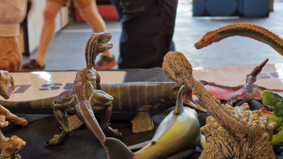 John (Paléo-J) ⛏️🐾🌍 tweet media