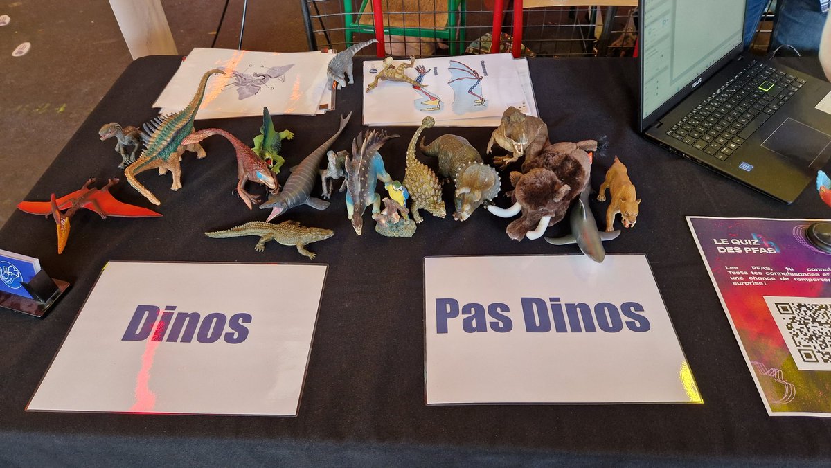 John (Paléo-J) ⛏️🐾🌍 tweet media