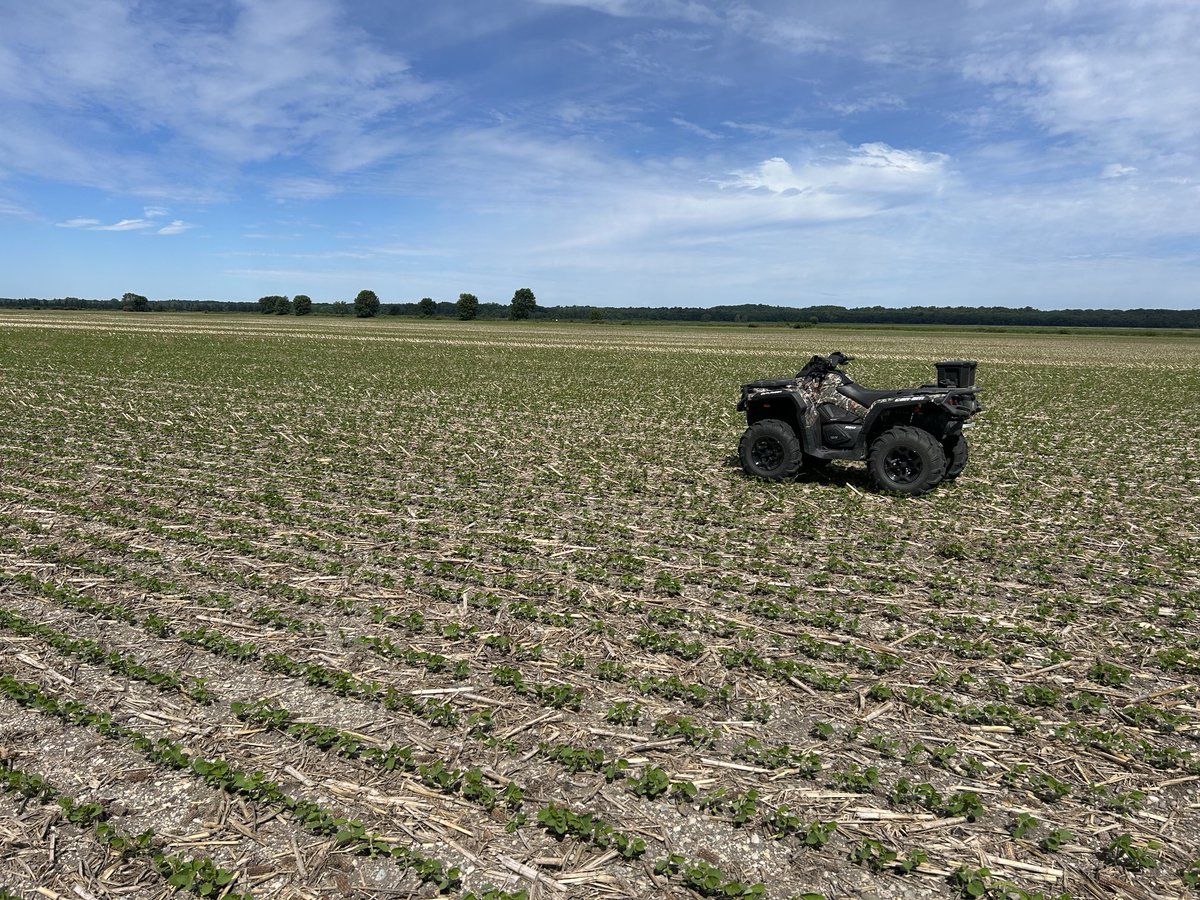 Ryan Benjamins tweet media