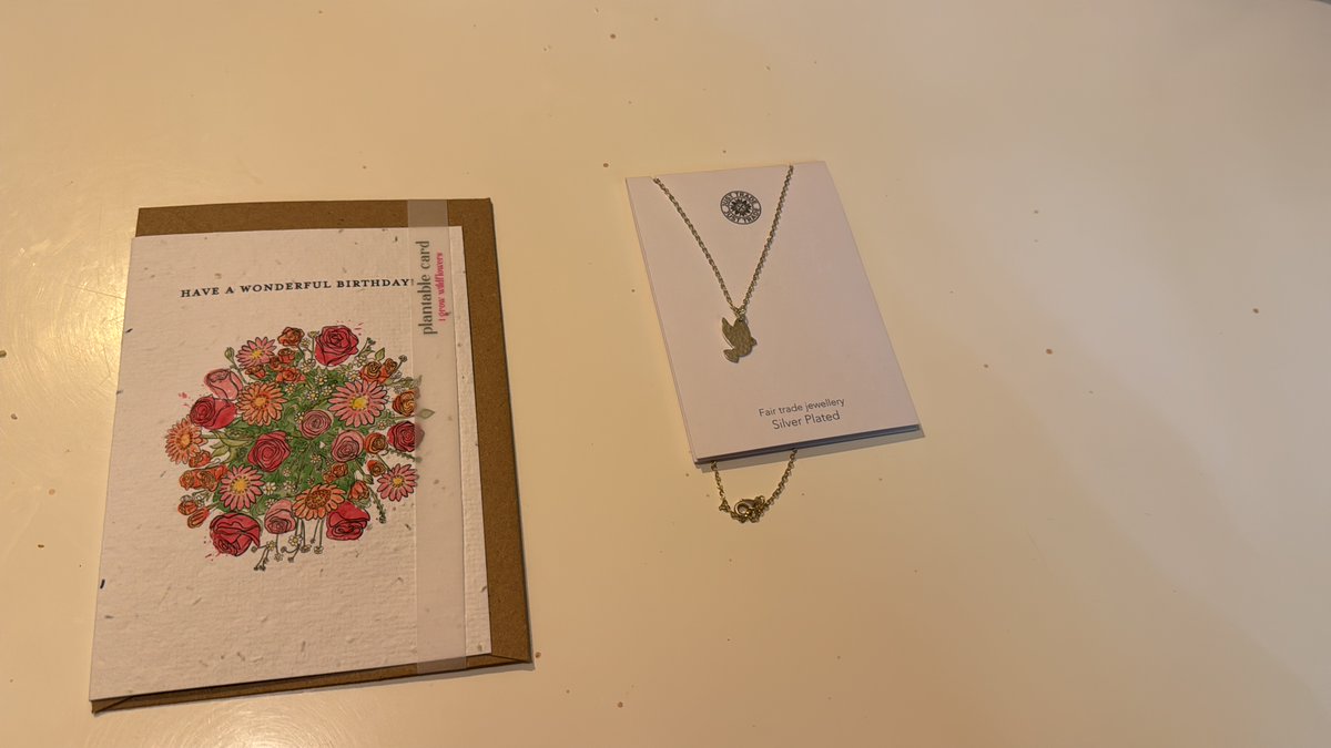 MeredithDMU's tweet image. Bought these for my friend’s birthday which I hope she likes.  How sustainable is the card though it has seeds in to grow flowers! Image is. A birthday card and a silver dove necklace.