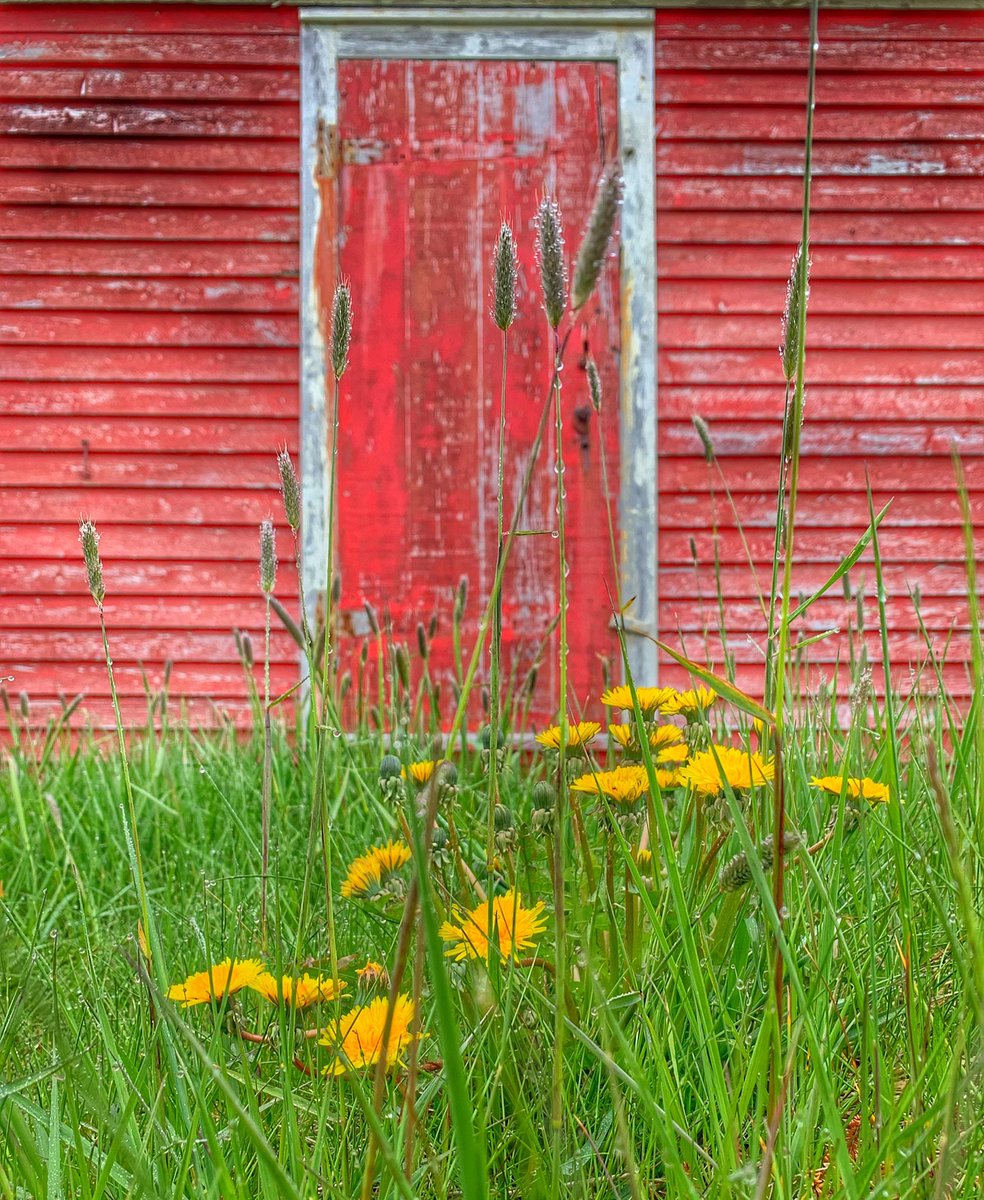 ๐จ๐ฆ tweet media