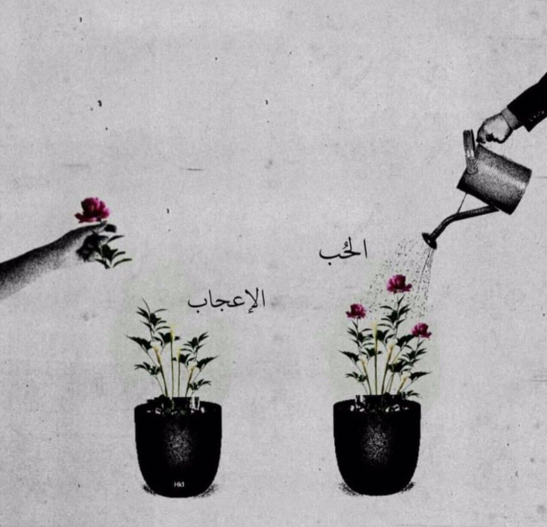 ماهو الفرق بين الإعجاب والحب..؟

"ومعجبُ الوردِ يقطفهُ ويرميهِ،
أما المحبُ فذاكَ الحافظُ الساقِي"
.