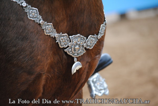 tradiciongaucha's tweet photo. 📸 #FotoDelDía #Pretal #Tradición 
https://t.co/JAtNwCT7Na https://t.co/hgQqJR3SYh