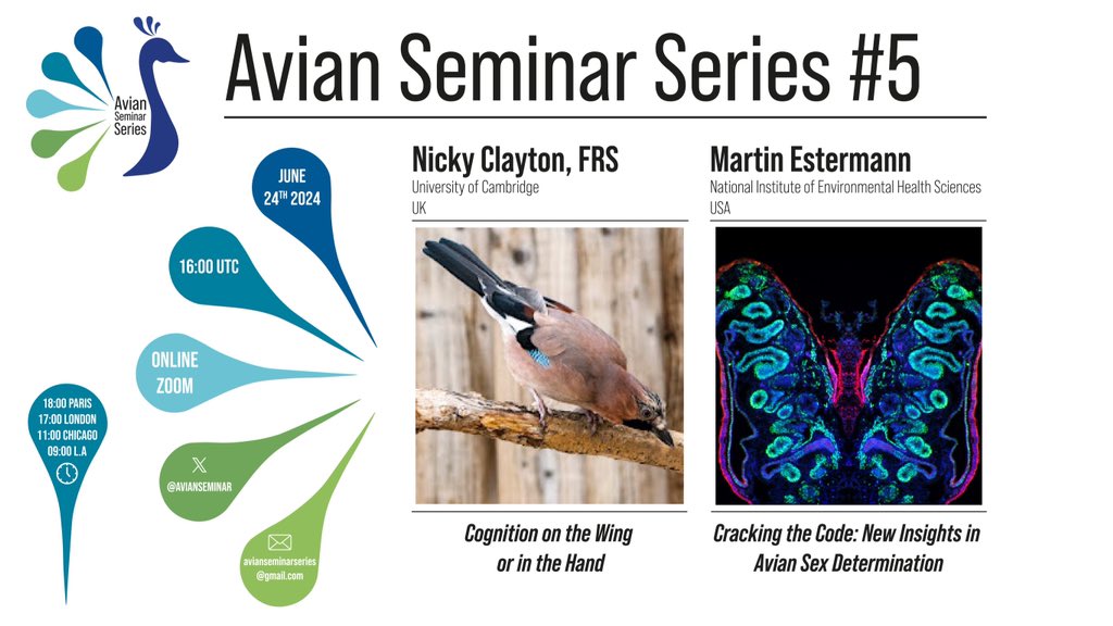 Avian Seminar Series (@avianseminar) on Twitter photo Join us for our last seminar before summer break on the 24th of June, 16:00 UTC with Nicky Clayton and <a href="/EstermannMartin/">Martín Estermann</a>. Local time zones are indicated in the banner ! 🦚 Join us for our last seminar before summer break on the 24th of June, 16:00 UTC with Nicky Clayton and <a href="/EstermannMartin/">Martín Estermann</a>. Local time zones are indicated in the banner ! 🦚