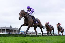 HORSERACING1002's tweet image. CONTINUOUS🇯🇵2020
(HEART'S CRY - FLUFF BY GALILEO)#Continuous
B/ Wynatt &amp;amp; Chelston Ireland &amp;amp; Orpendale Bloodstock 
O/ Coolmore 
T/ Aidan O'Brien 
8-4-1-1---$990,480
2023 Hwt 3yo Colt 14f+🇮🇪🇪🇺
Prix Thomas Bryon G3, Great Voltigeur S G2, St Leger S G1 
2nd King Edward VII S G2