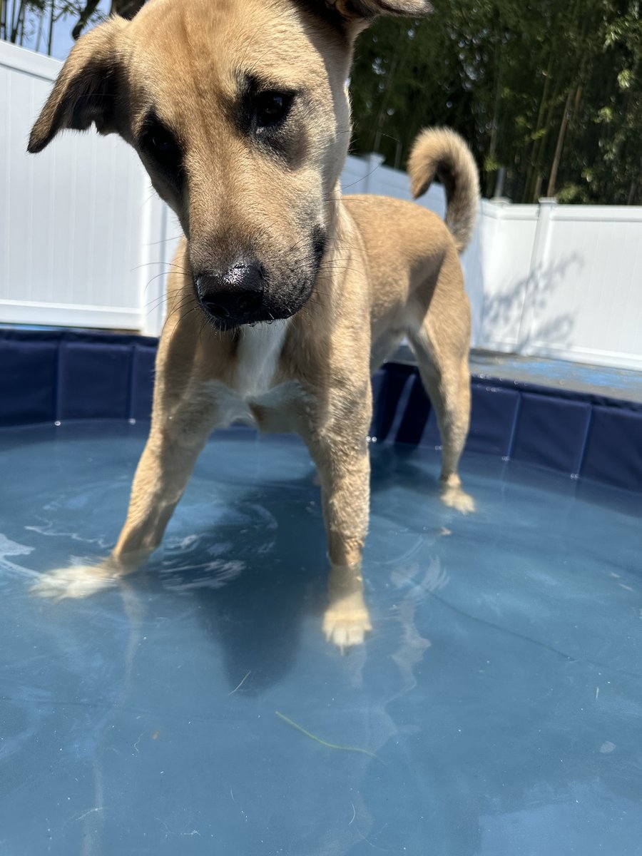 Pool time is always the best time!
