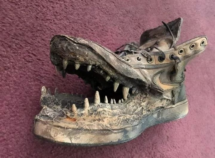vinoypastillas's tweet photo. el pibe q no lava las zapas porque dice q se arruinan https://t.co/g1mNjyP6sN