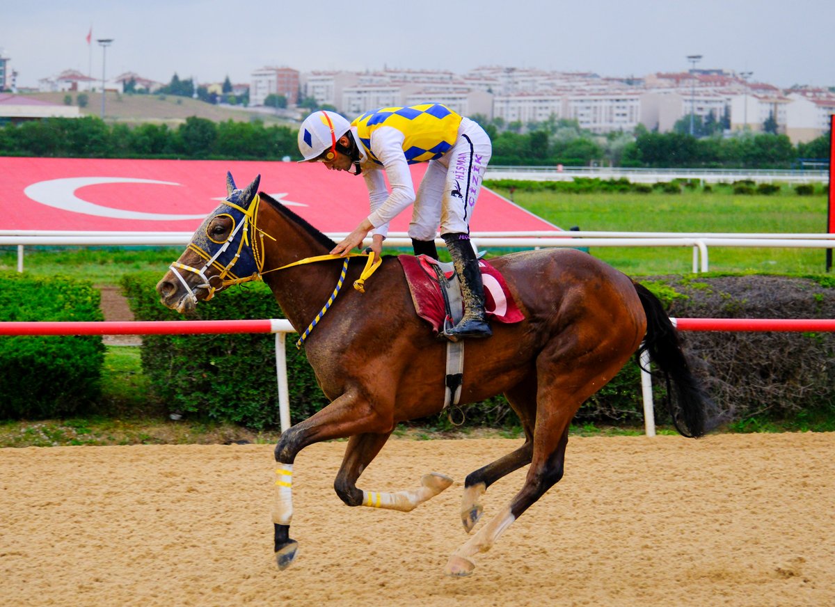İbrahim Kirazoğlu Koşusu'nu Storm Force kazandı

tjk.org/TR/YarisSever/…