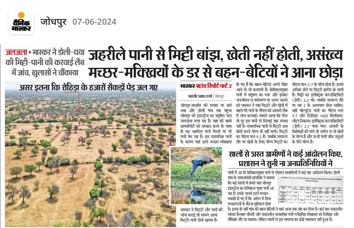 floraofdesert's tweet photo. ज़हरीले पानी से मिट्टी बांझ ,खेती नहीं होती।
असर इतना कि रोहिड़ा के सैकड़ों पेड़ जल गए।

#जोजरी_बचाओ

@ForestRajasthan @moefcc @deespeak @thardesertphoto https://t.co/U2xYyHAPOj