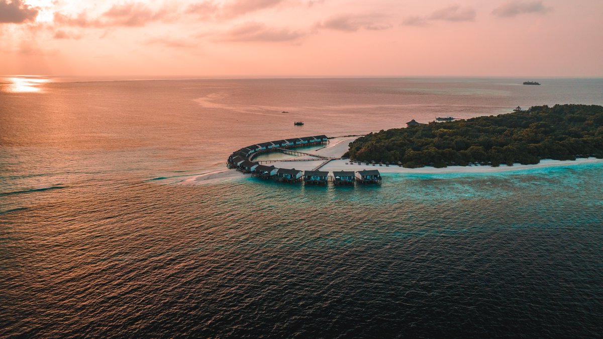 reethi_beach's tweet photo. Wake up to the breathtaking beauty of a sunrise at Reethi Beach Resort, where the world comes alive with the dawn of a new day.
#ReethiBeachResort #ReethiBliss #ReethiBeach #LoveReethi #ReethiMagic #SunriseSplendor #NatureAwakens https://t.co/a2VAq0c4YR
