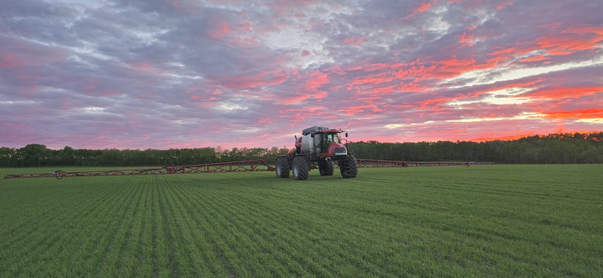 A rare occasion when the wind wasn't blowing.  #casepatriot #patriot4440 #plants #largegarden #gardener #customspraying #farm