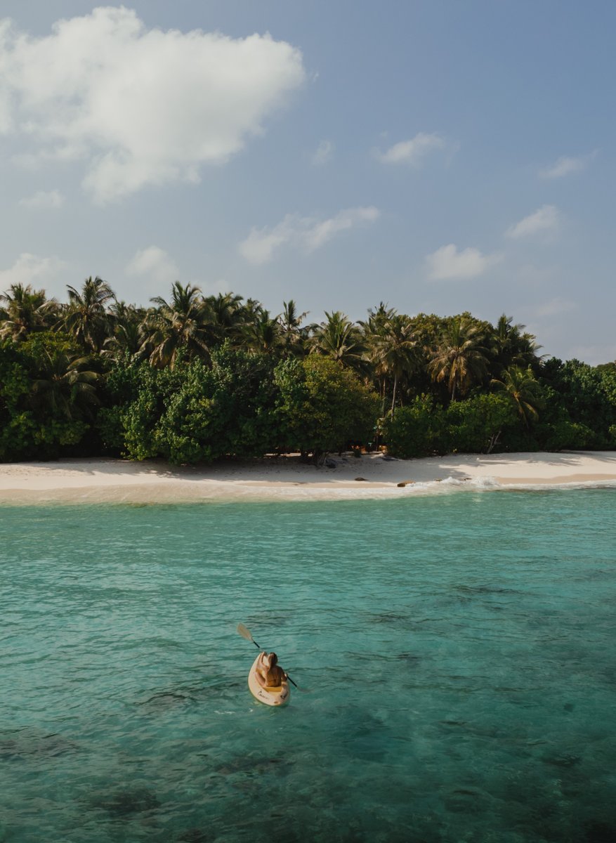 reethi_beach's tweet photo. Explore the beauty of Reethi Beach Resort from a new perspective with a kayaking adventure around the island! .
#ReethiBeachResort #ReethiBliss #ReethiBeach #LoveReethi #ReethiMagic #KayakAdventure #IslandExploration https://t.co/GVB6rdP6UX
