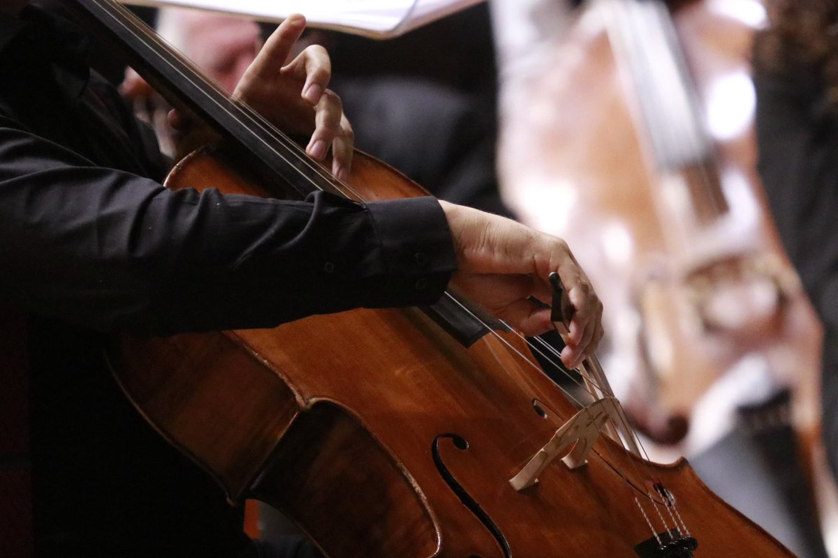OSEMoficial's tweet photo. Acompáñenos en el imperdible concierto de este sábado en la Parroquia de San Miguel Arcángel en Temascalcingo, a las 16:00 horas, bajo la dirección de @maciasrodrigo_ .
Jean Carlos Coronado, violonchelista 🎻
¡Entrada Libre!
#Programa16 #La150 https://t.co/86z6DihxrC