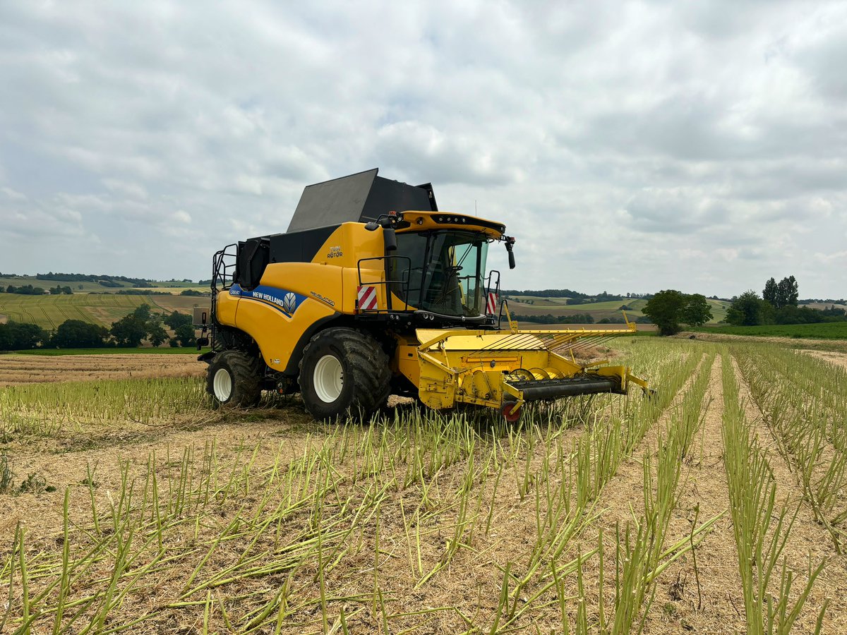 damF032's tweet image. Moisson du #colzasemence avant l’orage et prochaine pluie @semaeSudOuest @semae_officiel