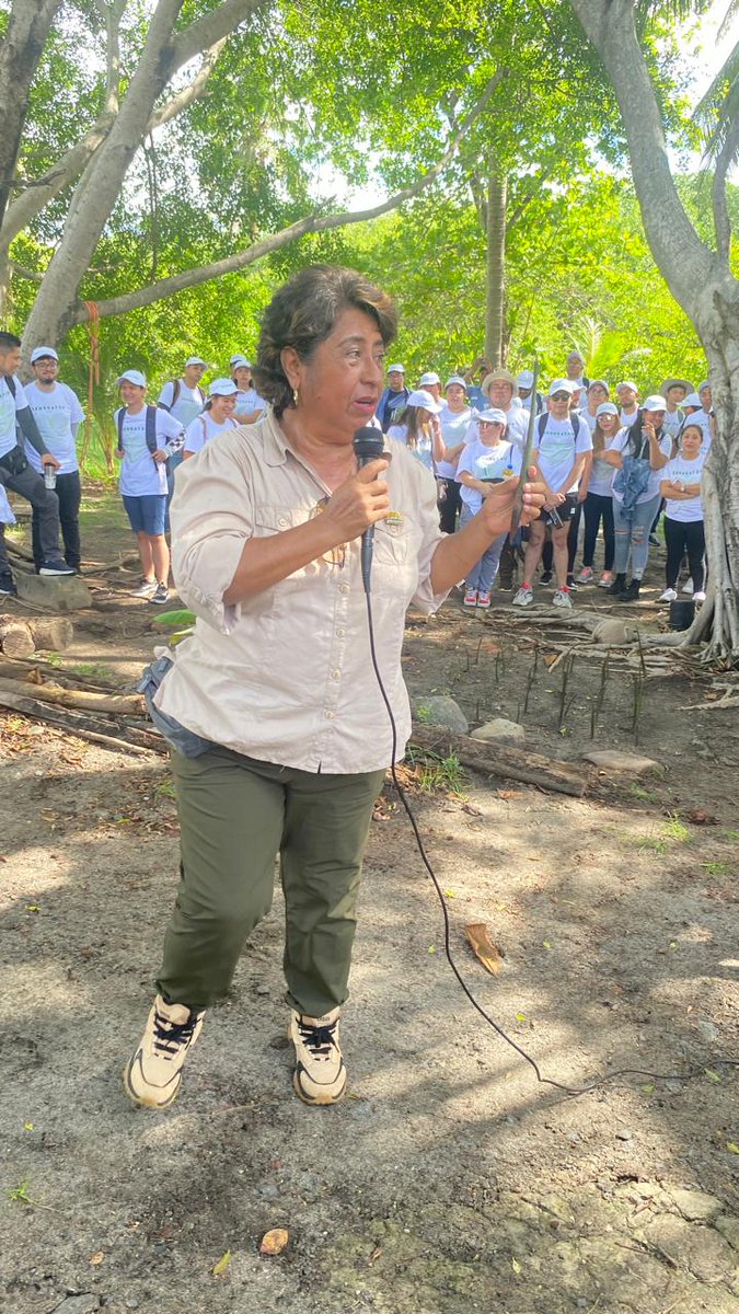 kikeayaladaboub's tweet photo. Este día, asistí a la jornada "SEMBRATON 2024" organizado por @AsistedcosOrg con la cooperación de #ConcentrixElSalvador y el aval del @MedioAmbienteSV  en el Area Natural El Amatal. Sembramos 6,000 propagulos de mangle rojo, palmeras rompevientos y coyol. Estas iniciativas colaboran con la restauración del manglar y favorecen la vida silvestre de aves, reptiles, peces y otros.

Gracias todos los voluntarios 🇸🇻 💚