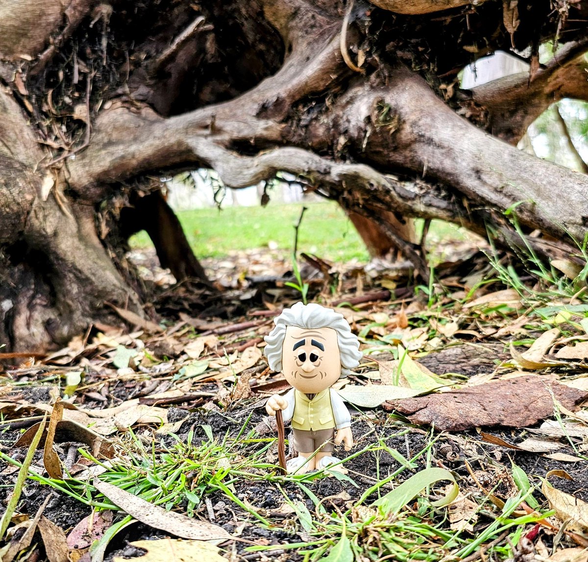 The4thCurator's tweet photo. Oh, the places will go. @OriginalFunko #FunkoSodaSaturday #FunkoSODA #OrginalFunko #FunkoCollector #FunkoCommunity #FunkoFunatic #FunaticOfTheMonth https://t.co/NnNSVtZd2j