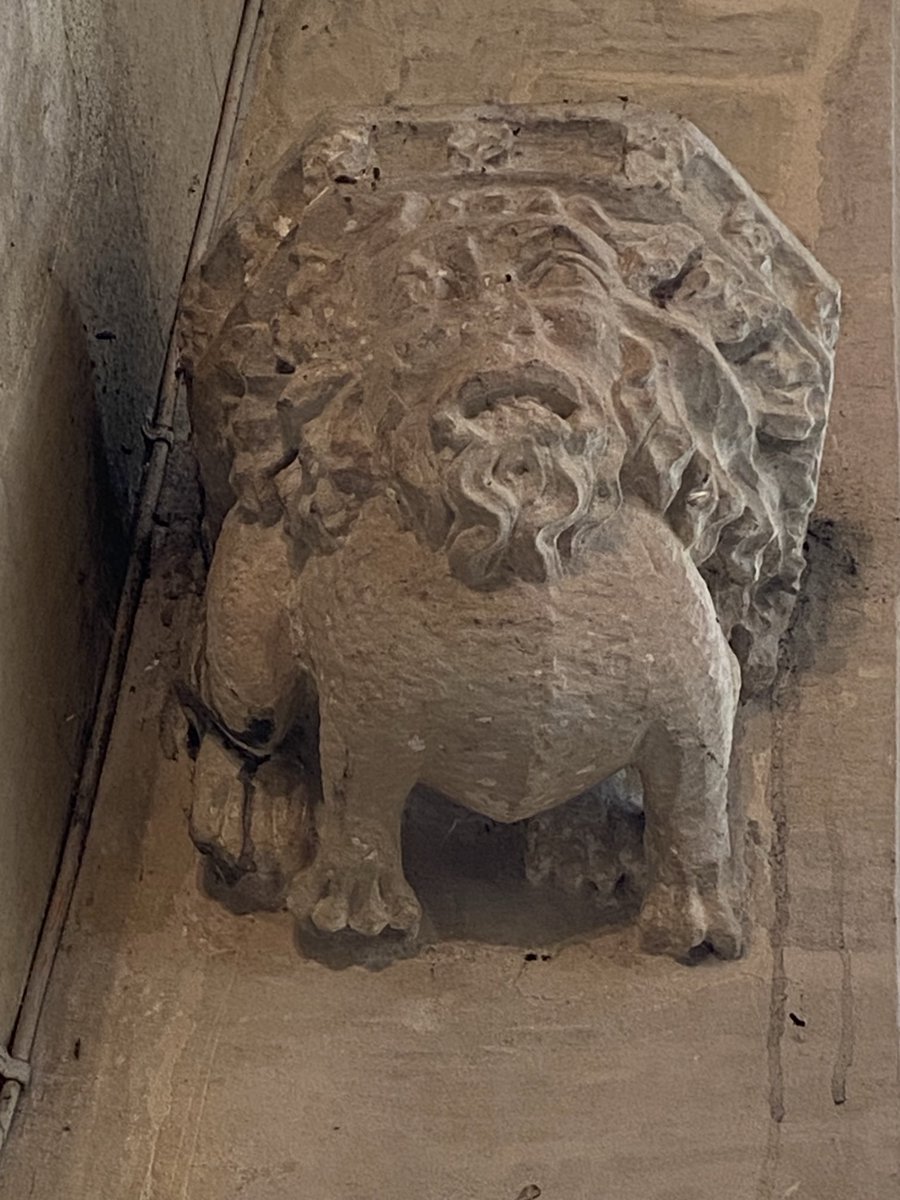 Megthelibraria1's tweet photo. #AnimalsinChurches #BrantBroughton St Helen’s Brant Broughton https://t.co/yO8b66AtKH