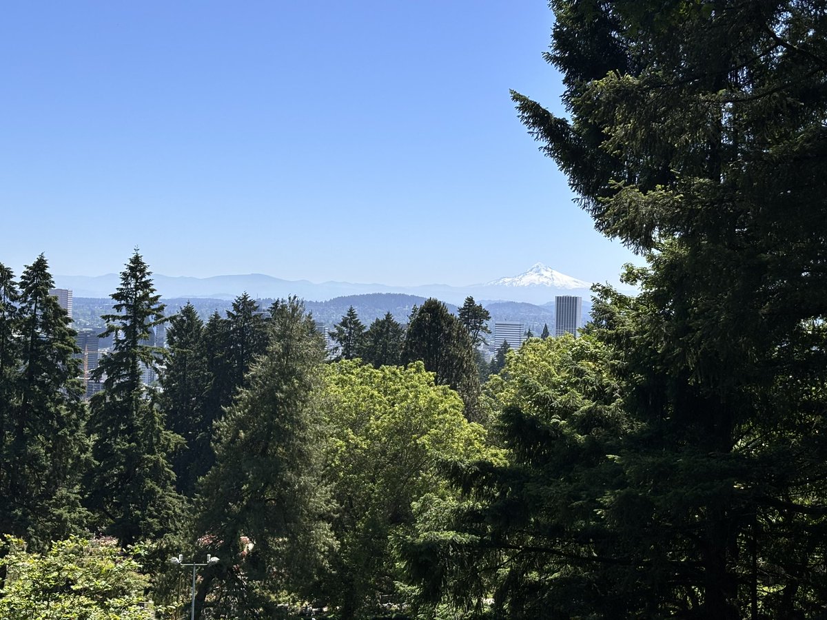aaronshawj's tweet photo. My return to the Twitter-verse was perhaps non-essential, but at least now I know what is happening in the social world of biblical scholarship. Shabbat Shalom. https://t.co/ZM3O6ixj83