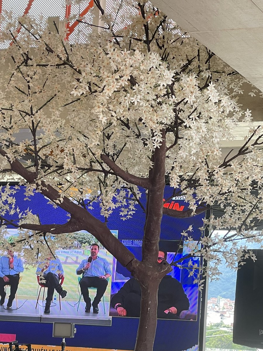 AndresJ280's tweet photo. Apoyando desde Bucaramanga en el centro comercial la florida.

Pero aún esperando que la gente de la terraza quite ese árbol para poder ver bien #LAFINALxWIN https://t.co/E7vAC7j4rF