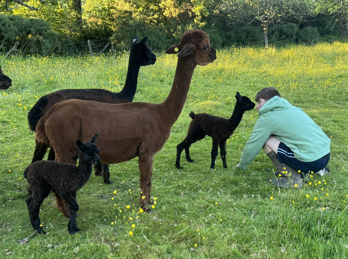 Karen May tweet media