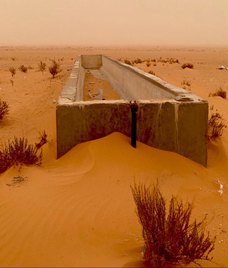 ماجد بن مهل tweet media