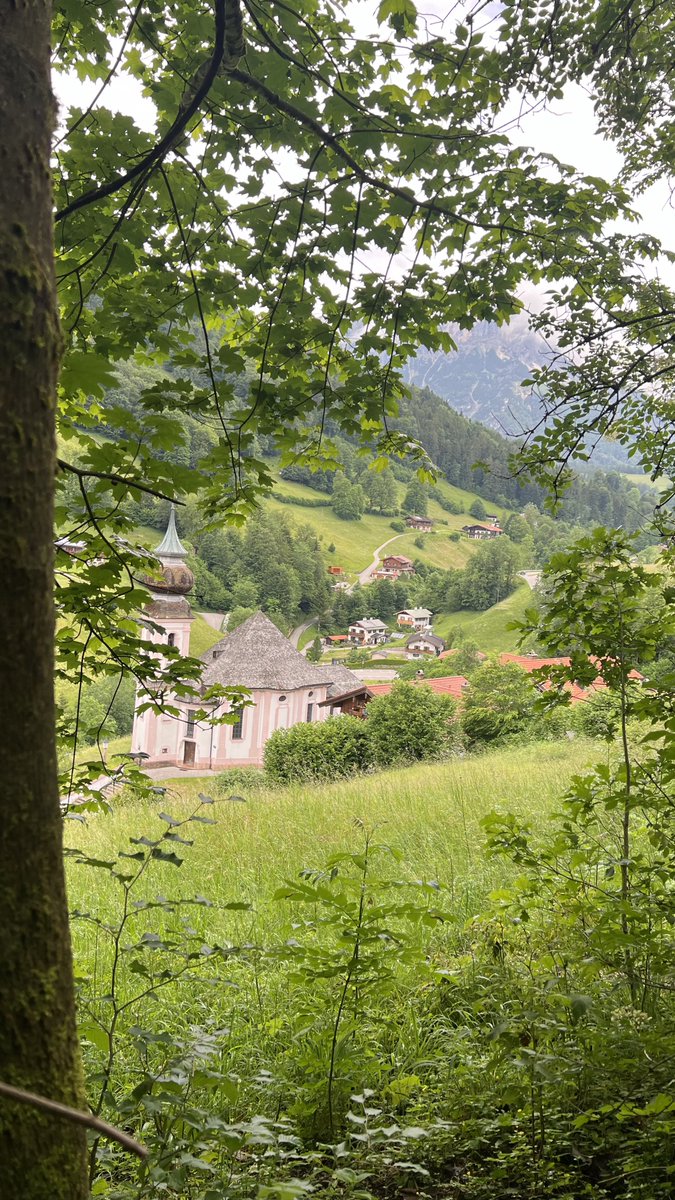 محمد البريكـــــي tweet media