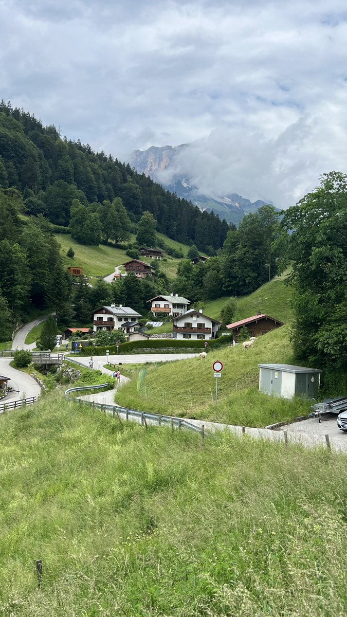 محمد البريكـــــي tweet media