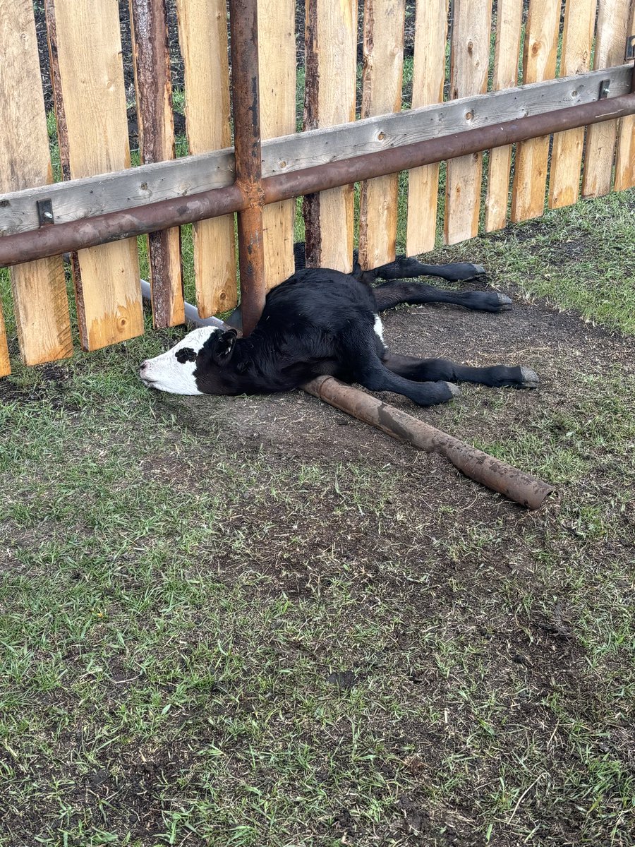 I’m not sure how…