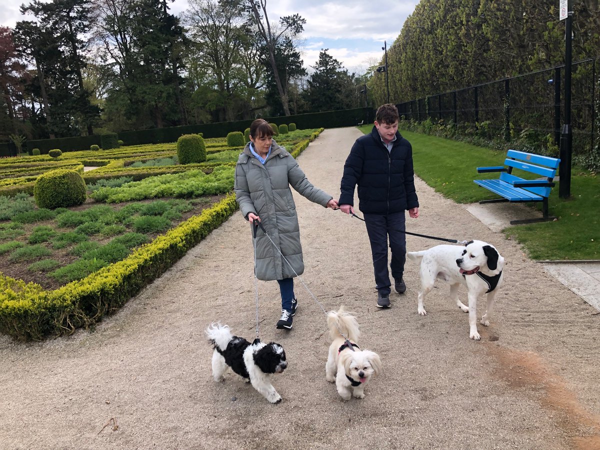 stevenglenn01's tweet photo. #antrimgardens
#lovedogs
#angelmansyndrome
Gez with Jude and our 3 dogs ♥️ https://t.co/HcXtzchTGm