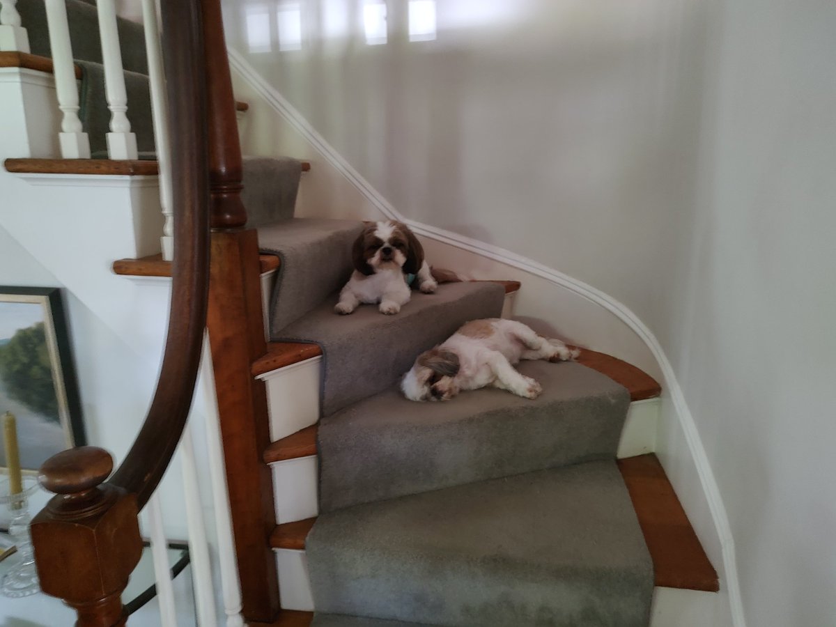 JoeGarlandNY's tweet photo. Saturday afternoon. https://t.co/ciz4m3dUqJ