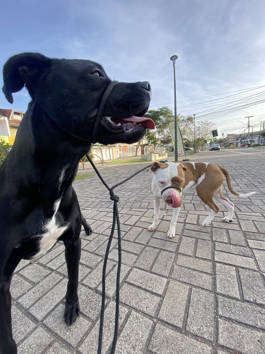 Um rolê com os aliado já me faz feliz!