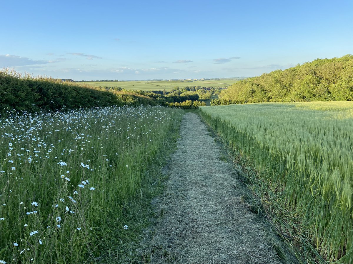 <a href="/OpenFarmSunday/">OpenFarmSunday</a> Come and join us tomorrow to learn about sustainable farming whilst enjoying the stunning scenery of the <a href="/LincsWoldsNL/">Lincs Wolds National Landscape</a>  10:00 to 16:00 (free event)