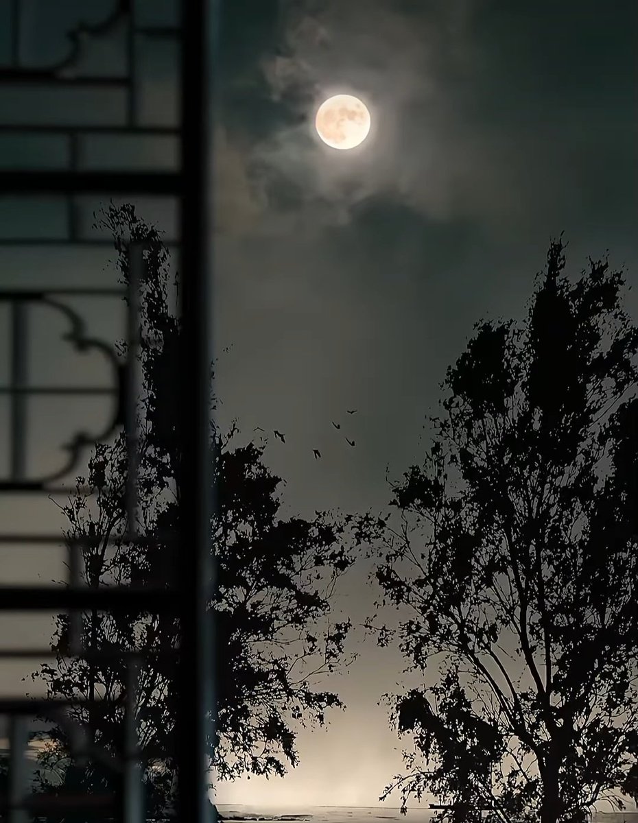 ManhajAsSunnah's tweet image. TAHAJJUD 

In the sacred month of Dhul Hijjah, wake up and pray Tahajjud. Make lots of duas in these quiet moments. Allah's mercy and blessings are abundant, and your heart can find true peace by remembering Him. Don't miss out on the golden opportunity of these blessed days!