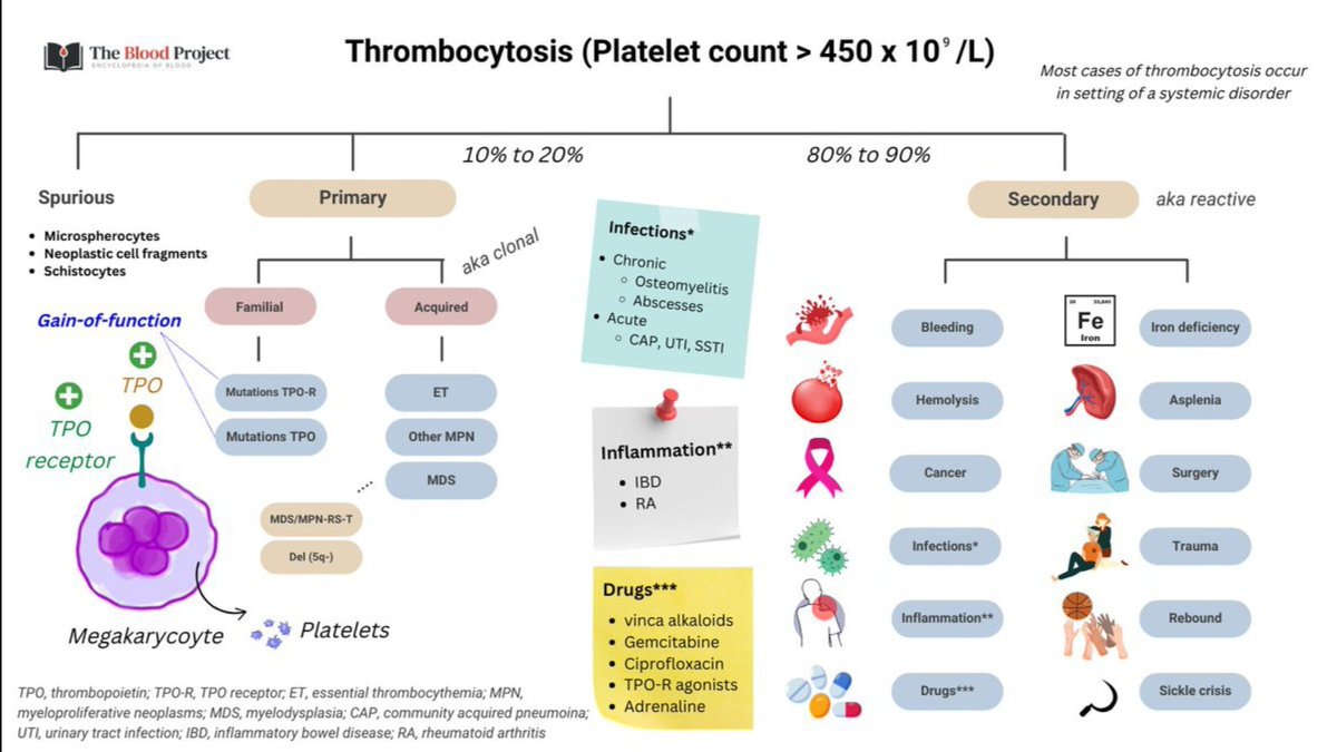 AhmedKo45911157's tweet image. ✔️👌Etiology of thrombocytosis 
➡️Spurious 
➡️Primary 
➡️Secondary
#Platelets #differential #hematology #medicalstudent
#education