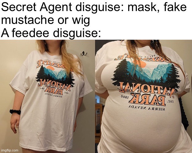 Daily Fat Admirers Memes tweet media