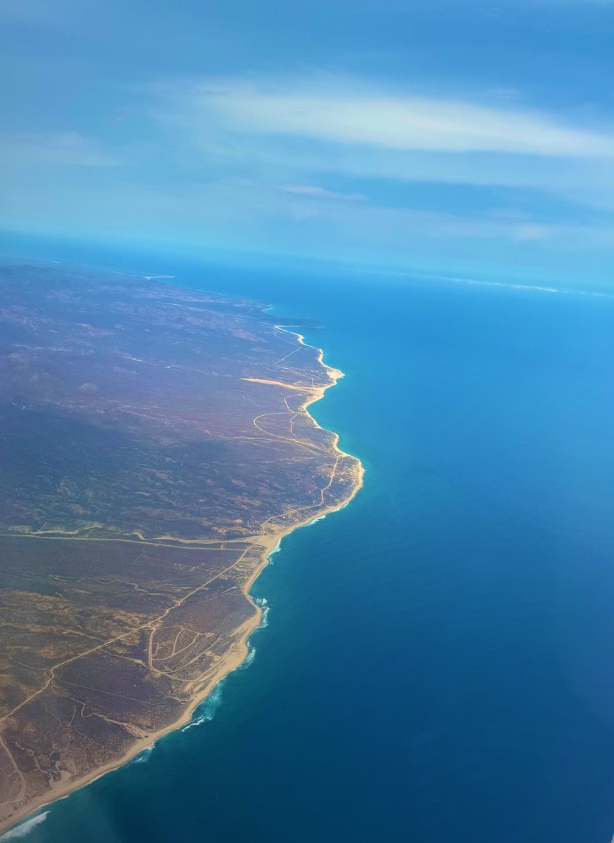 raloindi's tweet photo. Respeto y admiración 💙 #DiaMundialDeLosOcéanos Es una bendición poder regresar 🌊🧜🏽‍♀️ #LosCabos https://t.co/uDoaTmwk1K
