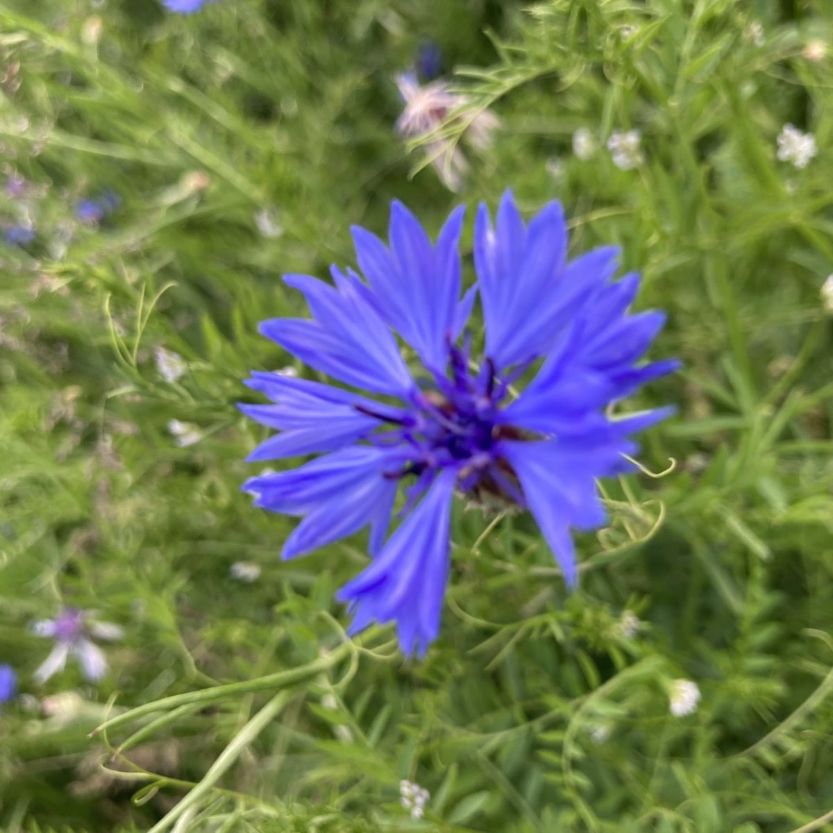 cheer-up.⌐◨-◨ tweet media