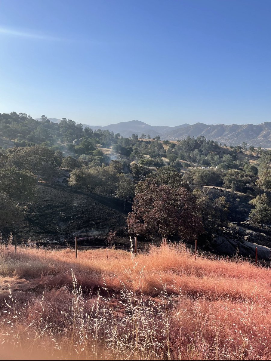 FresnoCoFire's tweet photo. #GarlockFire [update] Firefighters made good progress overnight. The fire is 54 acres and 45% contained. https://t.co/PWr95uW0BG