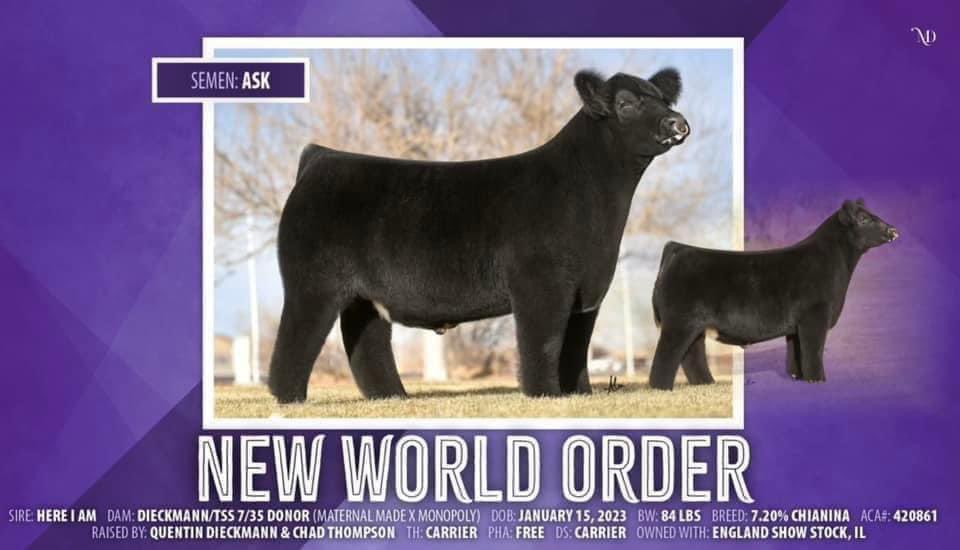 mattlautner's tweet image. #Mimms #HerefordVetClinic 

Dr Mike Mimm’s Flushing Powerful 369 Donor (Solid Gold) To New World Order 

#MLCSires #ESSBulls #NewWorldOrder