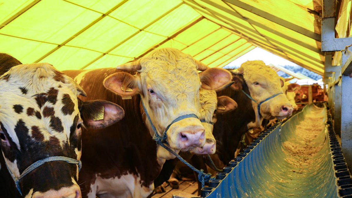 Seferihisar’da iç rahatlatan açıklama seferihisarhaber.com/seferihisarda-…