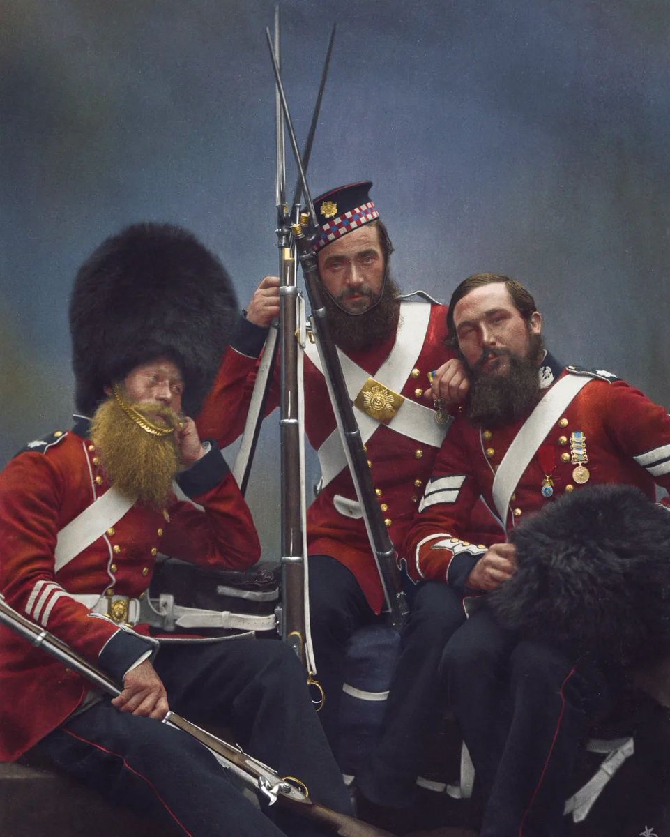 HistoryColored tweet media