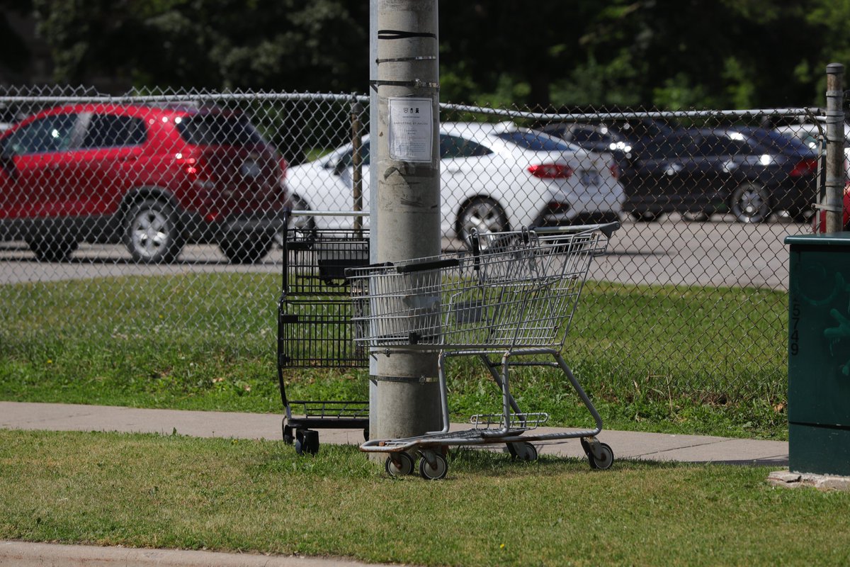 Gathering at the telephone pole. <a href="/Wagerlkunst/">Einkaufswagenkunst</a>