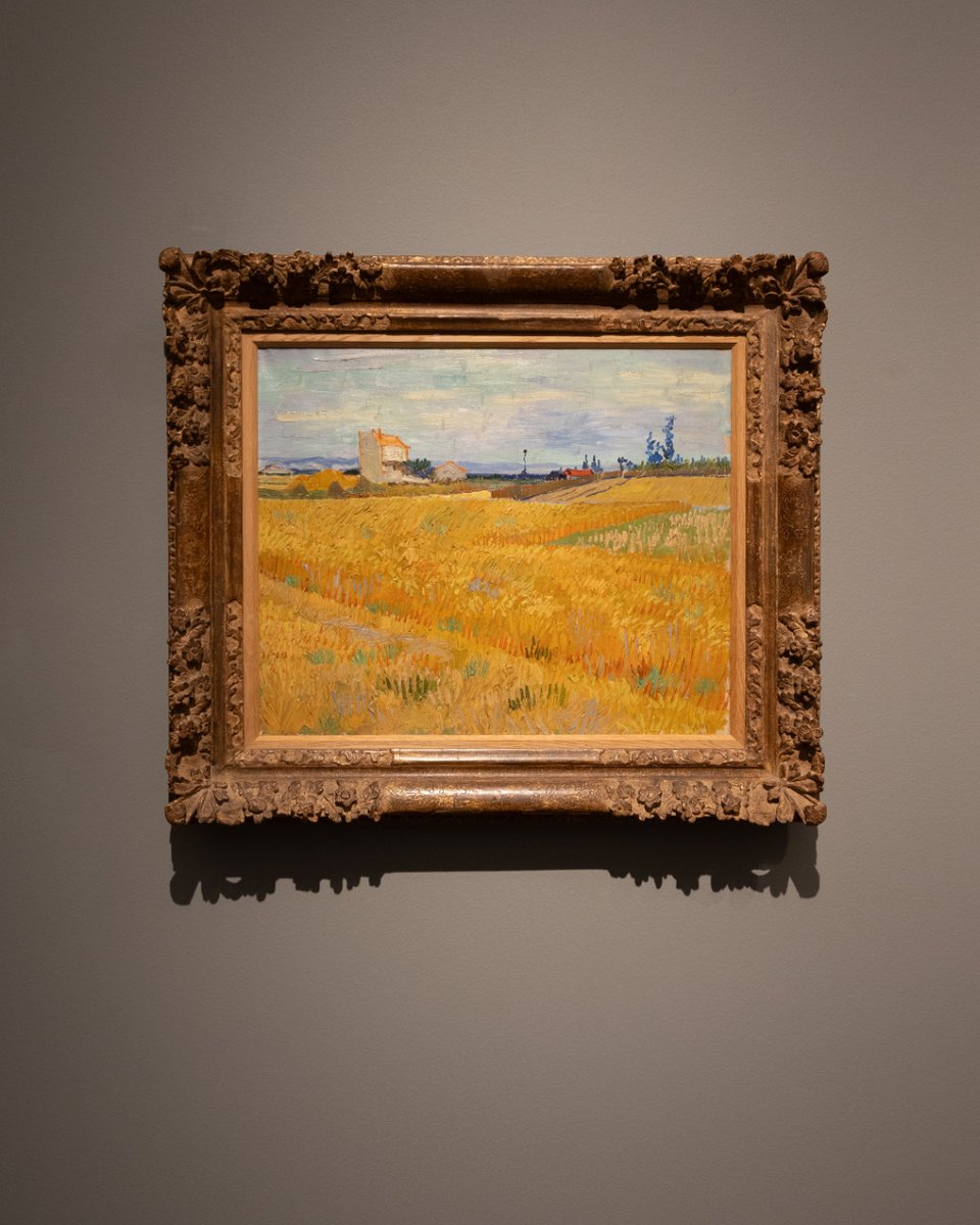 Rijksmuseum tweet media