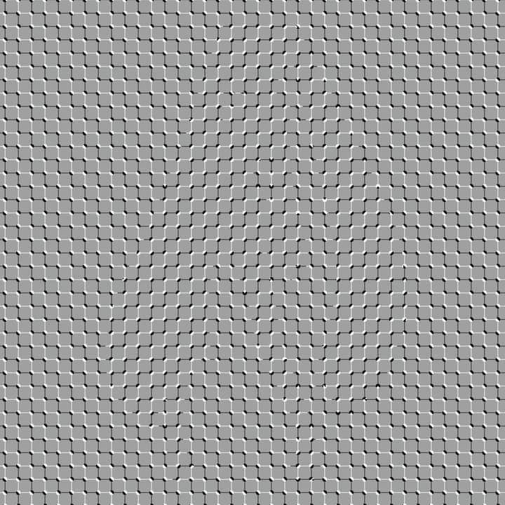 TopGyaru's tweet image. If you're left brained you'd see a rabbit and if you're right brained you'd see a cat