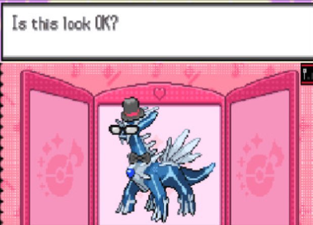 sinnoh_CEO's tweet photo. he is the most handsome https://t.co/3qmTZNQ61V