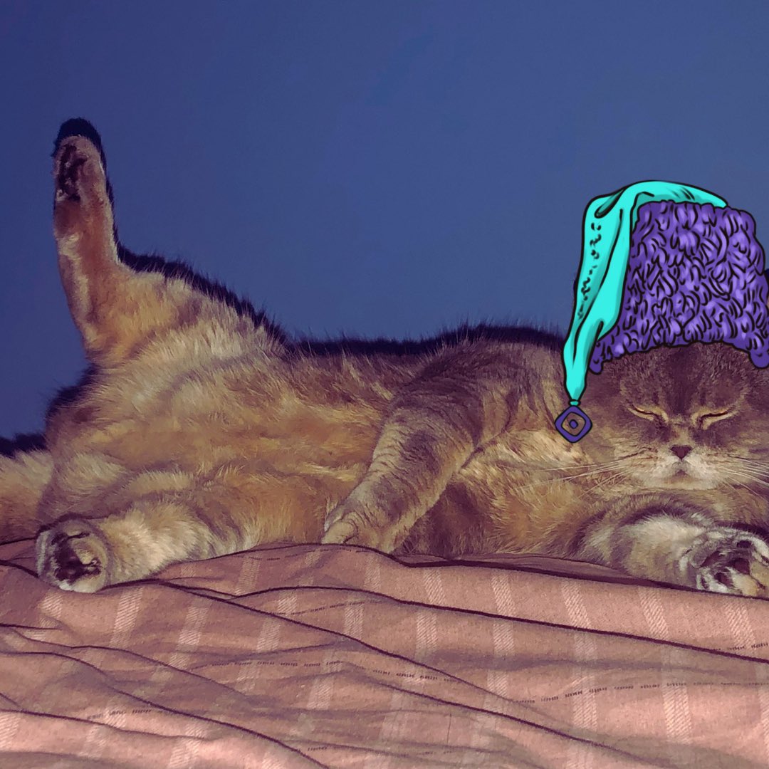 labro_corsa's tweet photo. What you looking at pervert?
#moncats
@AromatMonad
@monad_xyz
@ukrainads
@mikeinweb https://t.co/mRhUPY4W3G