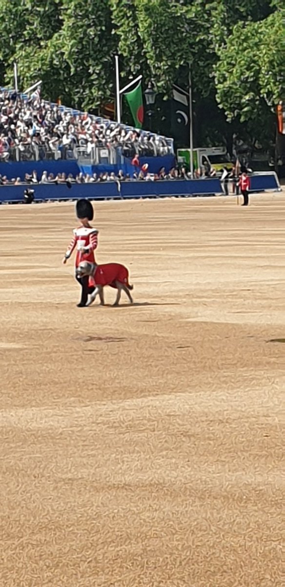 Col (Rtd) Angie Richardson tweet media