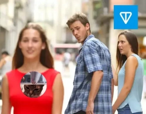 VaNeedHelp tweet media